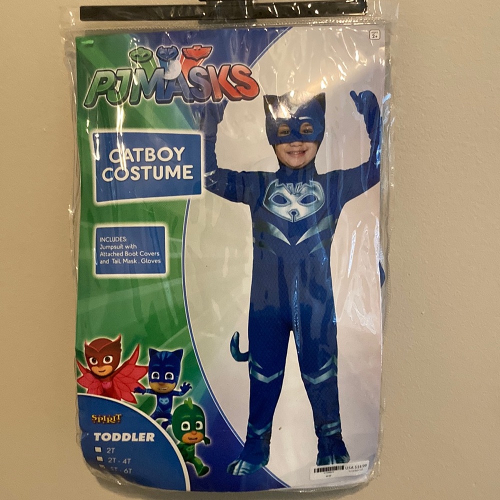 PJ Mask (Catboy) Halloween costume